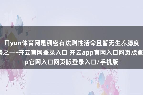 开yun体育网是稠密有法则性活命且暂无生养臆度女性的常用礼聘之一-开云官网登录入口 开云app官网入口网页版登录入口/手机版