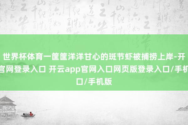 世界杯体育一筐筐洋洋甘心的斑节虾被捕捞上岸-开云官网登录入口 开云app官网入口网页版登录入口/手机版
