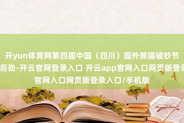 开yun体育网第四届中国（四川）国外熊猫破钞节开释沐日破钞后劲-开云官网登录入口 开云app官网入口网页版登录入口/手机版
